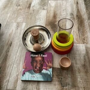 Lovevery Exployer Montessori Play Kit Items 9-10 Months